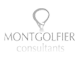 montgolfier consultants